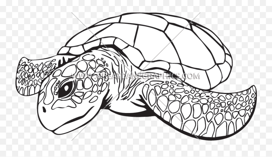 Hawaii Clipart Sea Turtle Hawaiian - Sea Turtle Line Drawing Emoji,Sea Turtle Clipart