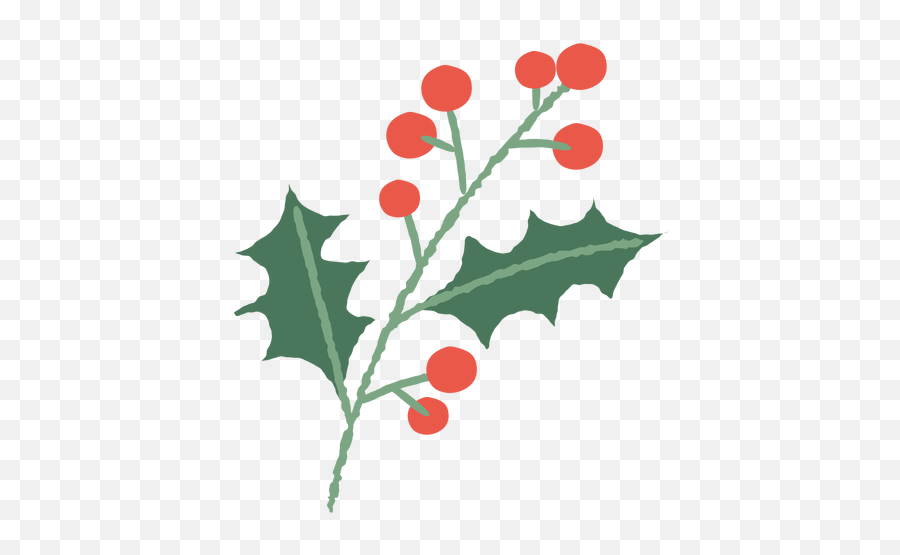 Mistletoe Branch Christmas Illustration - Transparent Png Ramo De Natal Png Emoji,Mistletoe Transparent Background