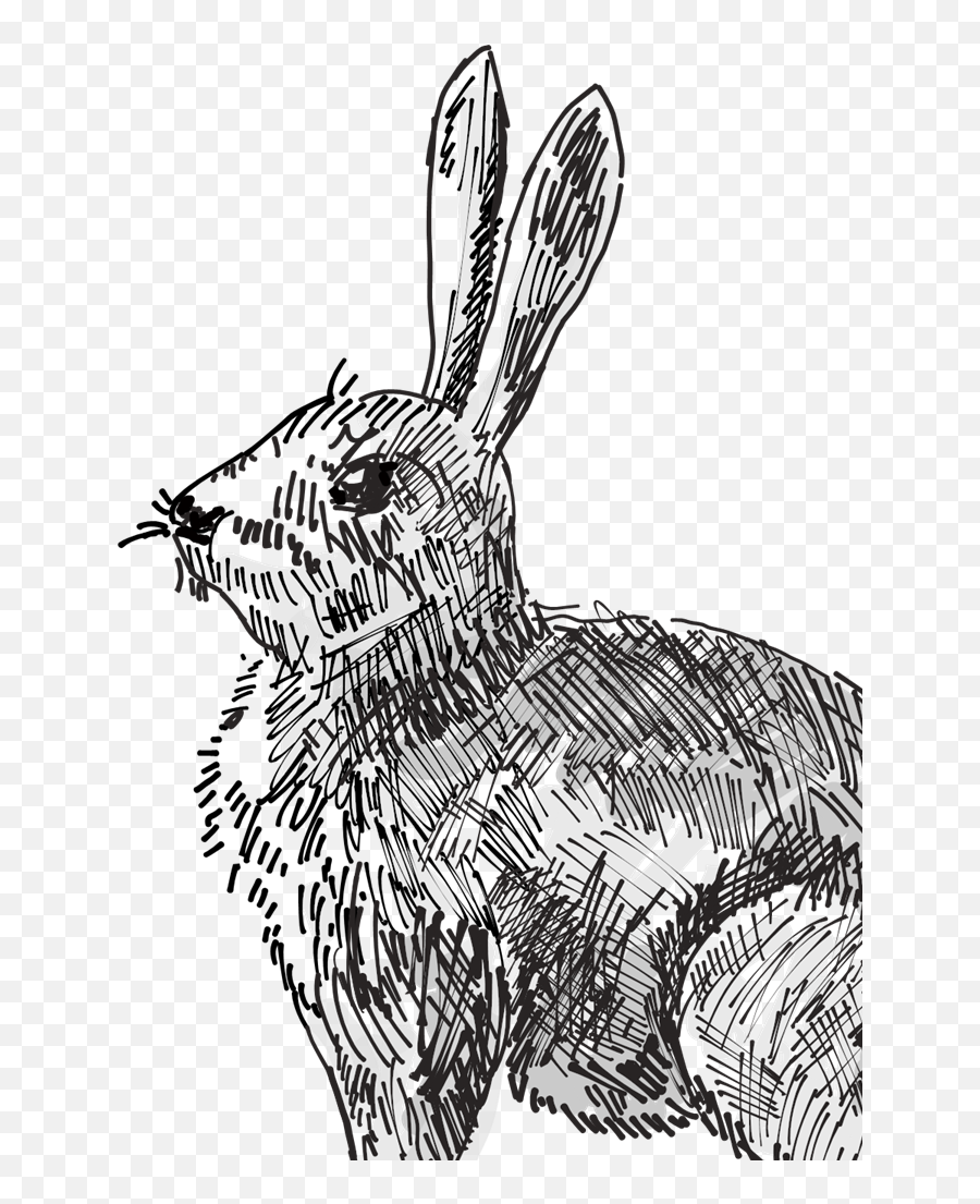 Rabbit Drawing Svg Vector Rabbit Drawing Clip Art - Svg Clipart Emoji,Rabbit Black And White Clipart