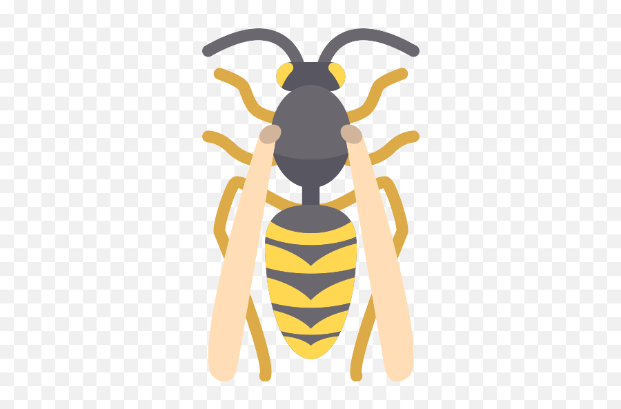 Wasp Vector Svg Icon 5 - Png Repo Free Png Icons Emoji,Hornet Png