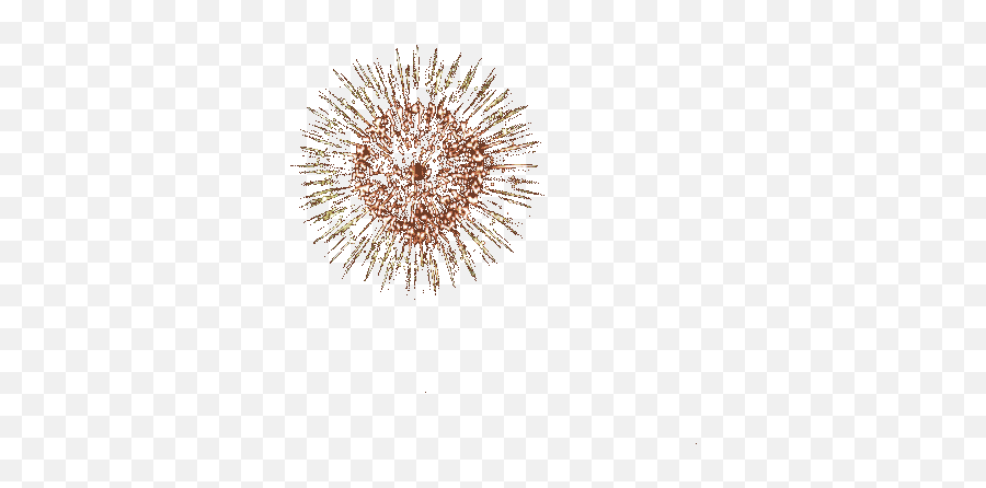 Fireworks Transparent Gif On Gifer By - Fireworks No Background Gif Emoji,Fireworks Transparent