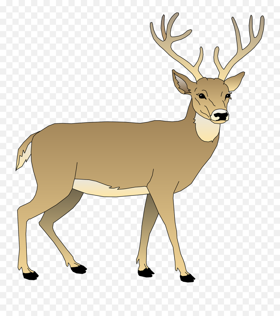 Free Whitetail Deer Cliparts Download - Deer Clipart Emoji,Deer Clipart