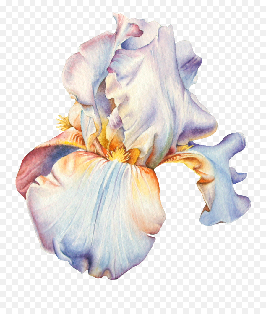 Hand Painted Watercolor Flowers Png Transparent - Watercolor Transparent Background Watercolor Realistic Flower Png Emoji,Painting Png