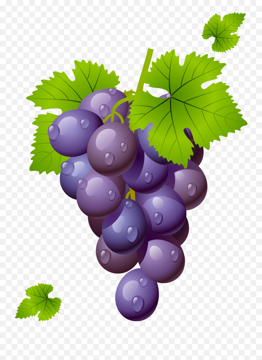 Grapes Vine Clipart Free Images 2 - Grapes Clipart Png Emoji,Vine Clipart