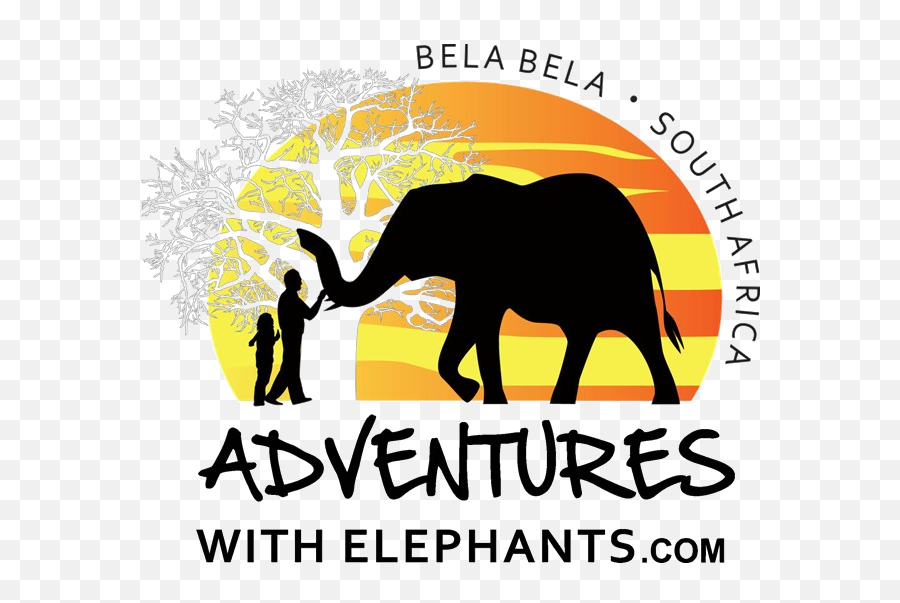 World Elephant Day Reflections U2014 Adventures With Elephants Emoji,Elephant Transparent