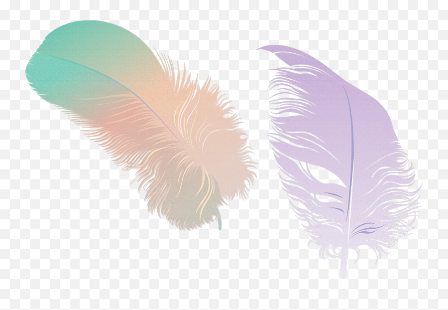 Feathers Clipart Png Beautiful Transparent Images Collection Emoji,Beautiful Clipart