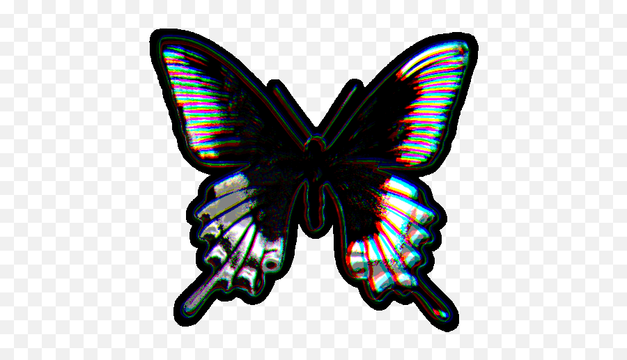 Butterfly Transparent Gif - Butterfly Transparent Holographic Discover U0026 Share Gifs Girly Emoji,Butterfly Transparent