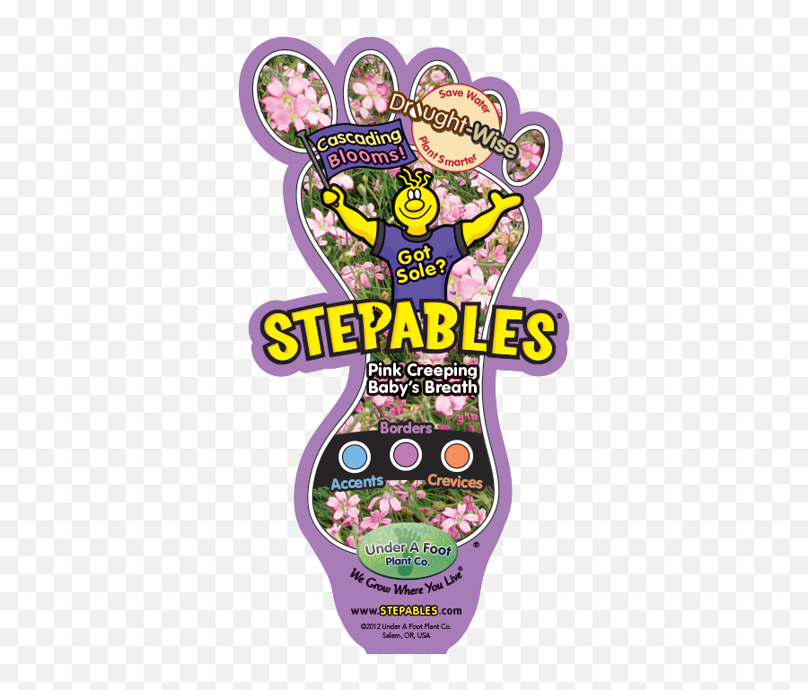 Stepablescom - Plants That Tolerate Foot Traffic Emoji,Baby's Breath Png