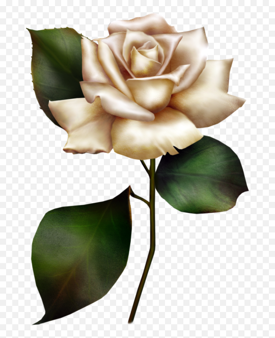 Roses Clip Art Free - Clipartsco White Rose In Cartoon Emoji,Roses Clipart
