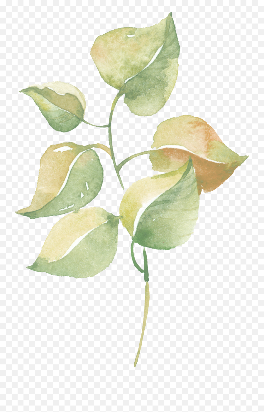 Lavender Flower Watercolor Poster Print - Greenery Leaves Watercolor Transparent Emoji,Greenery Png