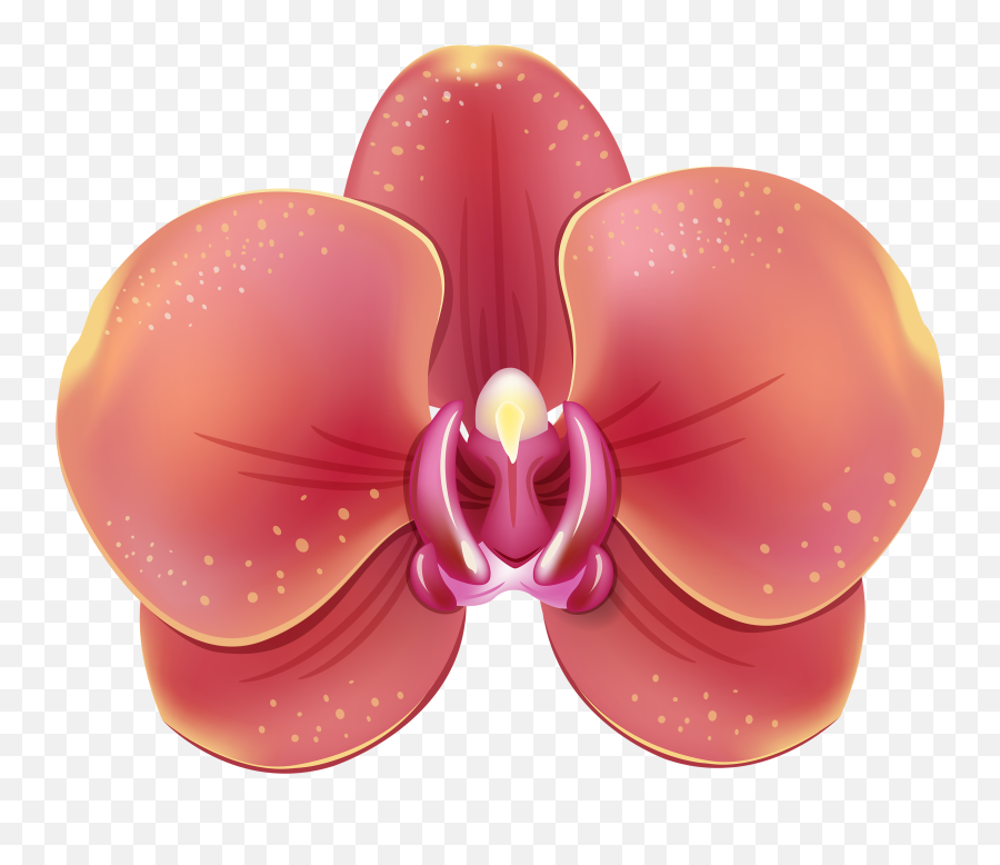 Pixel 3000x2491 White Orchid Over Water - Moth Orchid Emoji,Warehouse Clipart