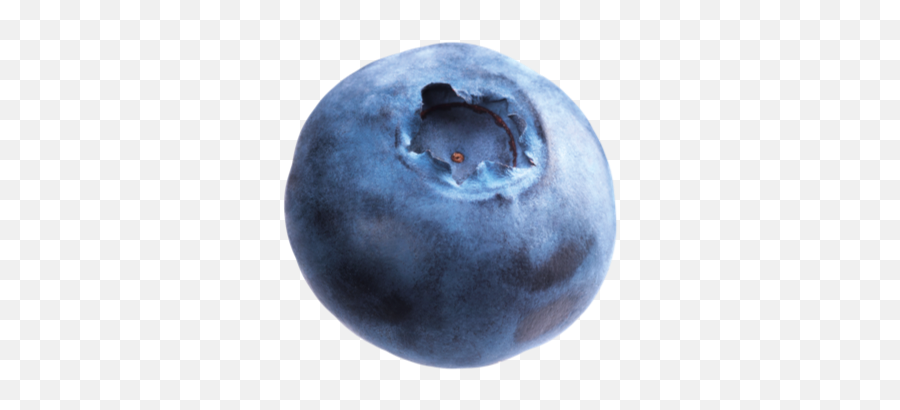 Blueberries Transparent Images - Transparent Blueberry Emoji,Blueberry Clipart