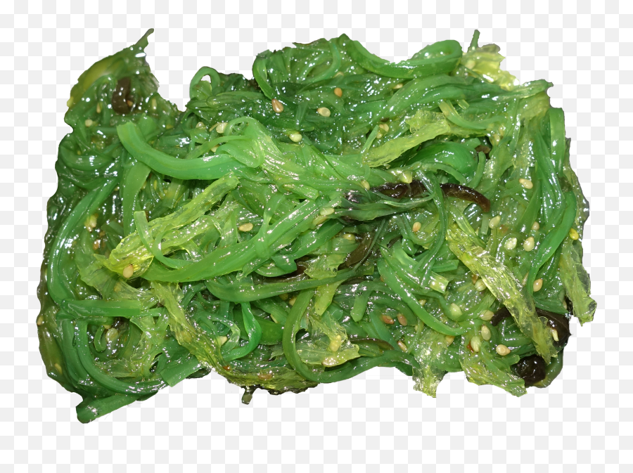 Seaweed Salad - Algas Marinas Comestibles Emoji,Salad Png