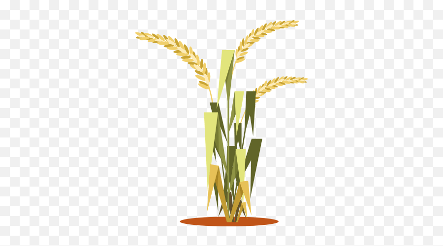 Rice Plant Clipart Free Download Transparent Png - Logo Transparent Rice Plant Clipart Emoji,Plant Clipart