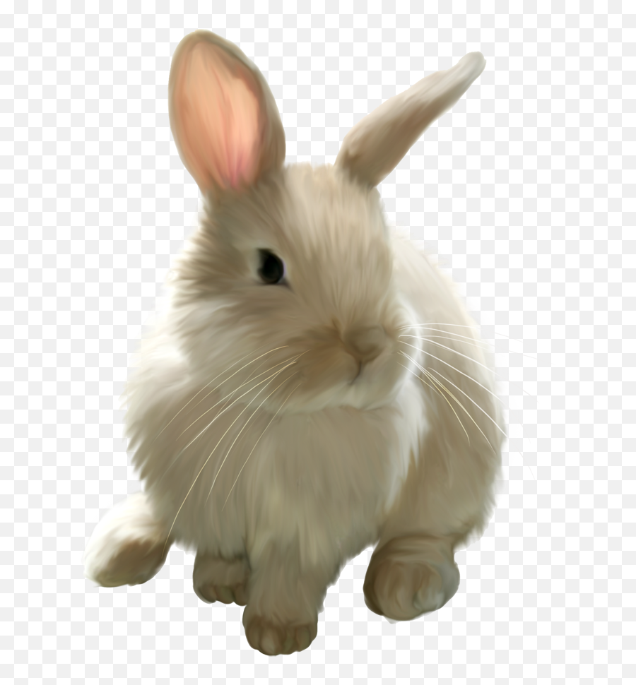 Transparent Background Rabbit Clipart Transparent Cartoon - Cute Bunny Transparent Emoji,Rabbit Clipart