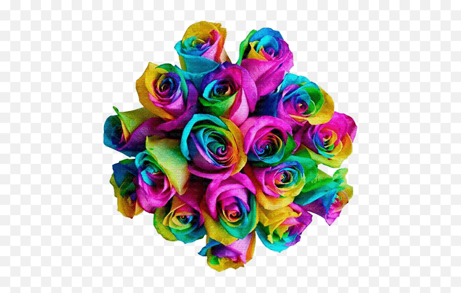 Rainbow Roses Png Rainbow Roses - Rainbow Rose Emoji,Png Roses