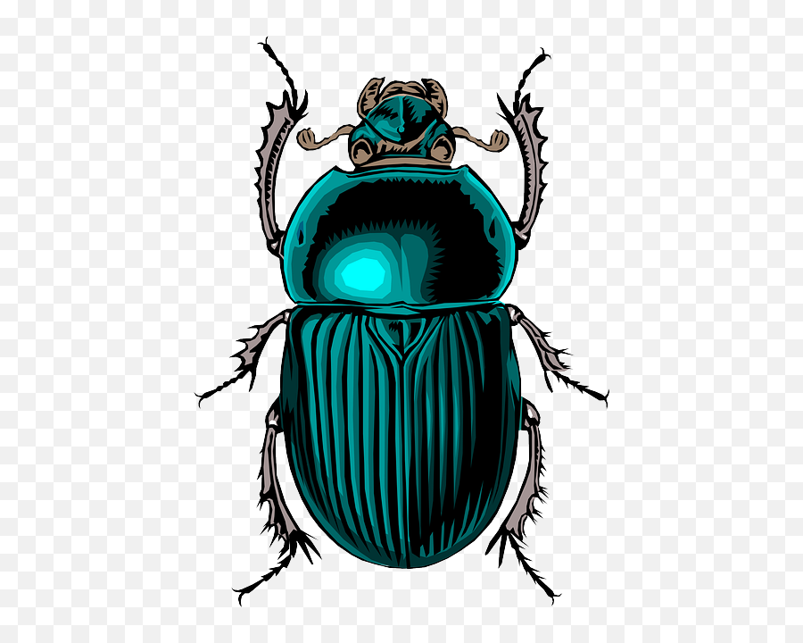 Beetle Clipart Bug Beetle Bug Transparent Free For Download - Beetle Bug Clipart Emoji,Bug Clipart