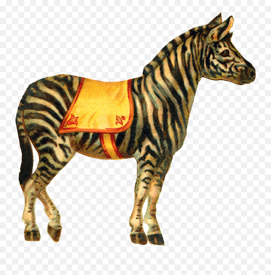 Download Hd Zebra Circus - Vintage Circus Animal Clipart Emoji,Zebras Clipart