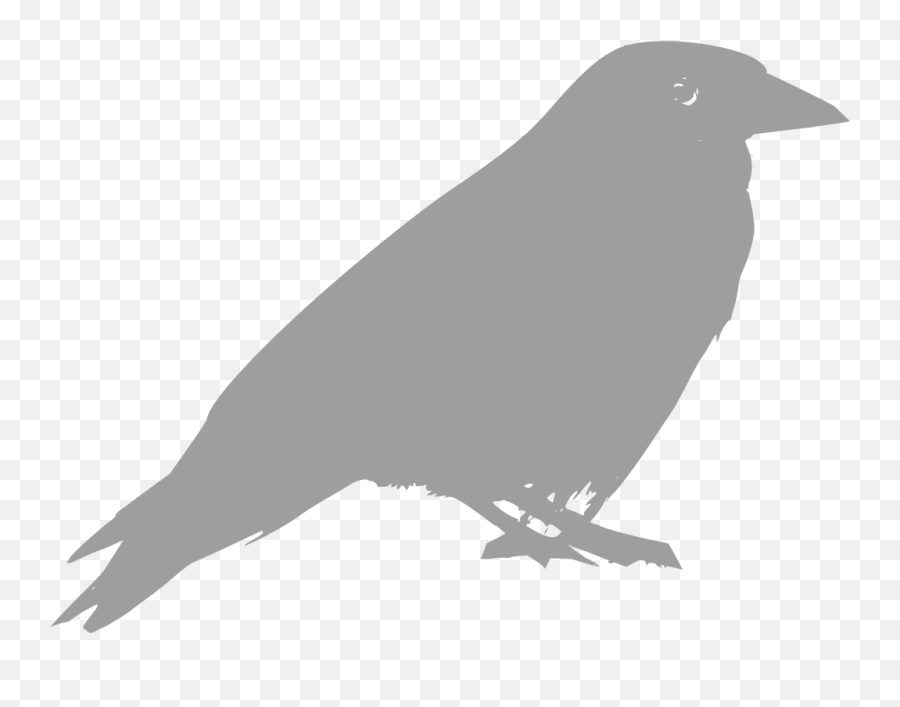 Download Download Png - Clipart Raven Full Size Png Image American Crow Emoji,Raven Clipart