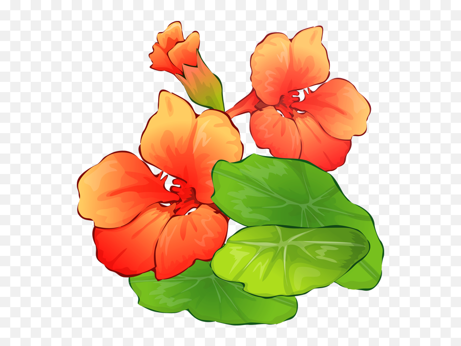 Clipart Summer Flower Clipart Summer - Summer Flowers Clip Art Emoji,Free Clipart Flowers