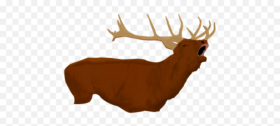 Deer Reindeer Antlers - Caribou Emoji,Reindeer Antlers Png