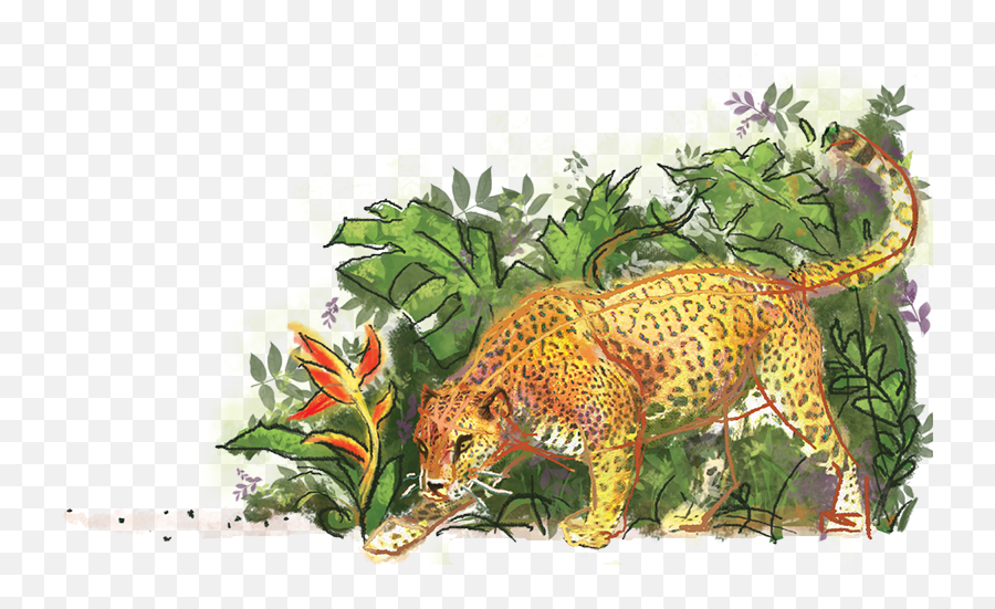 Download Jaguar In The Jungle Png Image - Wildlife Emoji,Jungle Png