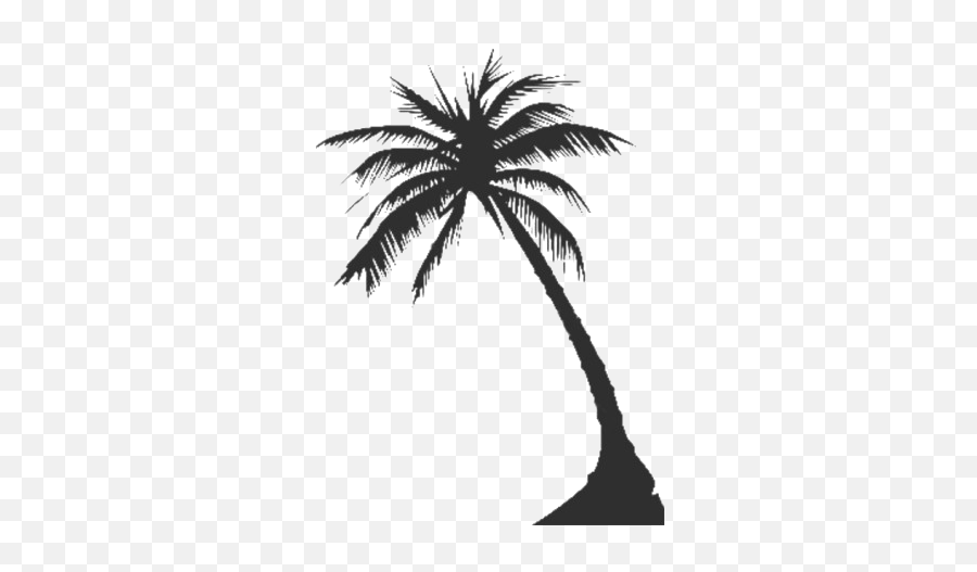 Long Coconut Tree Png Clipart - Transparent Background Palm Tree Clipart Png Emoji,Coconut Clipart