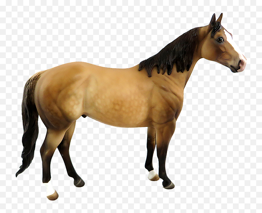 100 Free Horse Isolated U0026 Horse Photos - Pixabay Upin Ipin Kuda Lumping Emoji,Horse Transparent