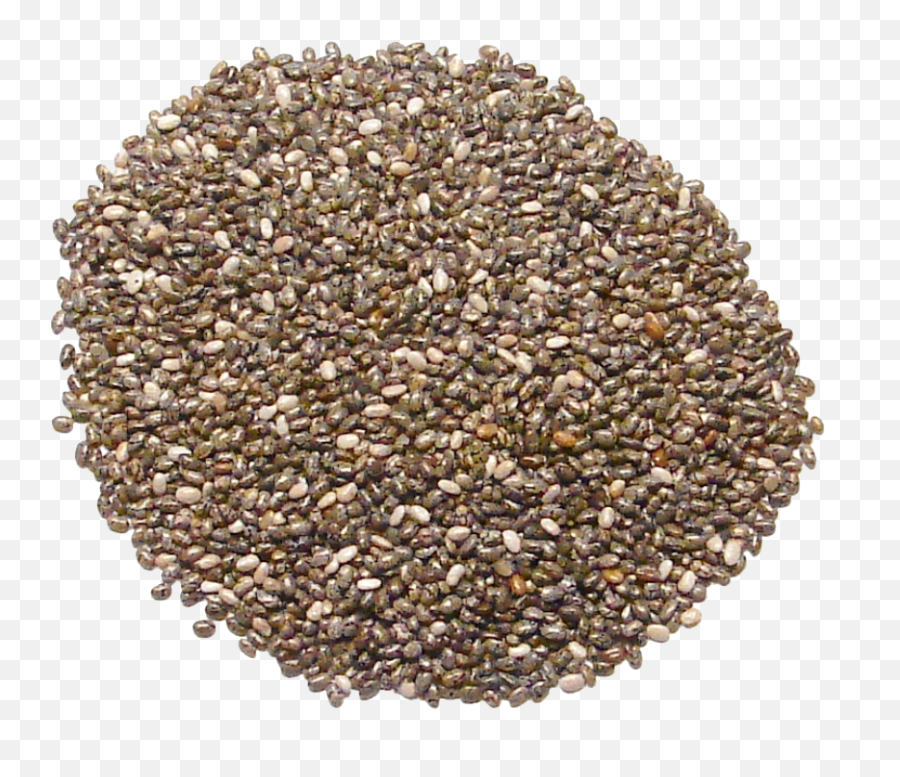 Chia Seeds Png Clipart - Chia Seeds In Mysore Emoji,Seed Clipart