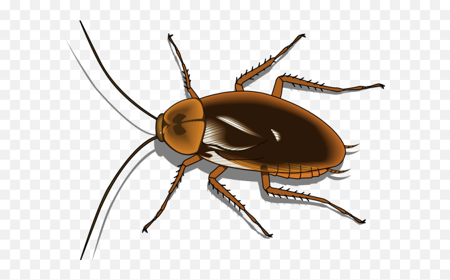 Cockroach Clipart Pest - Clipart Cockroach Emoji,Cockroach Png