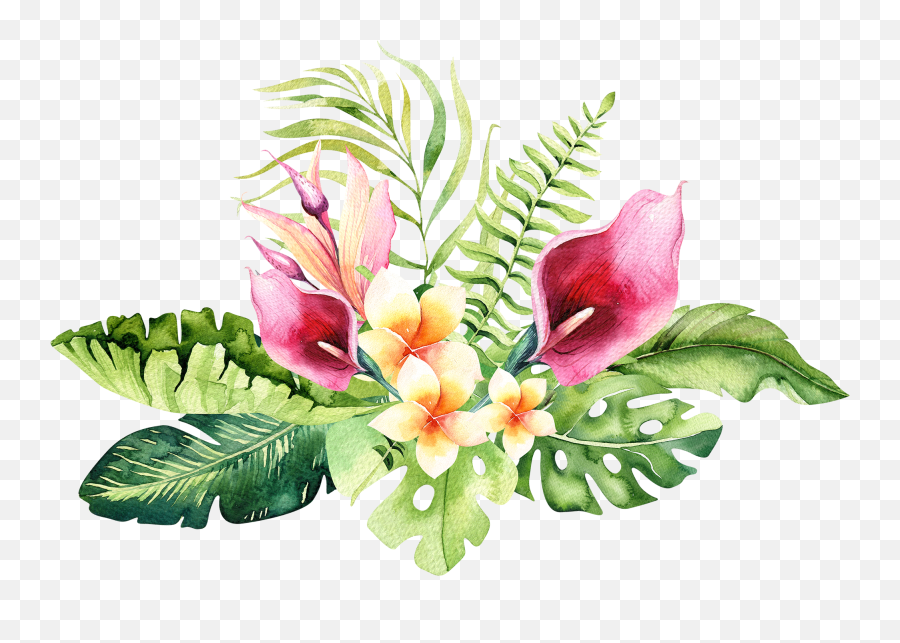 Hand Drawn Watercolor Tropical Flower - Watercolor Transparent Background Tropical Flowers Emoji,Floral Png