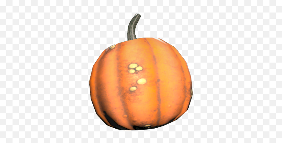 Pumpkin Fallout 76 Fallout Wiki Fandom Emoji,Pumpkins Png