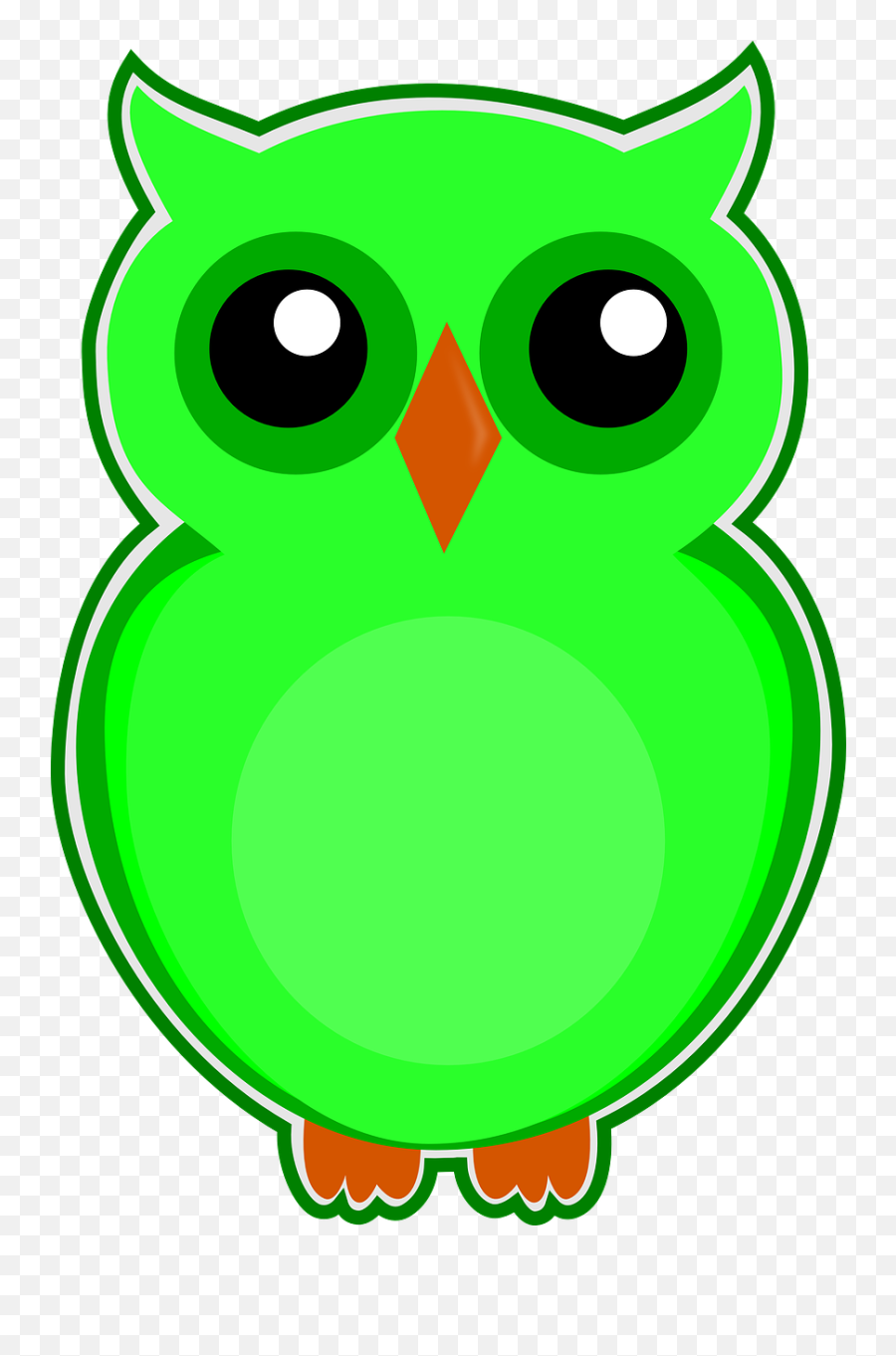 Owl Green Bird Cute Animal Png Picpng Emoji,Cute Animals Png