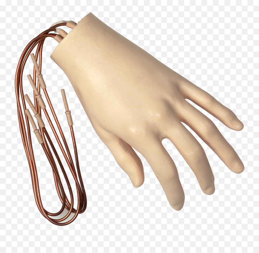 Foam Hand With Extended Wires College Park Emoji,Foam Finger Png