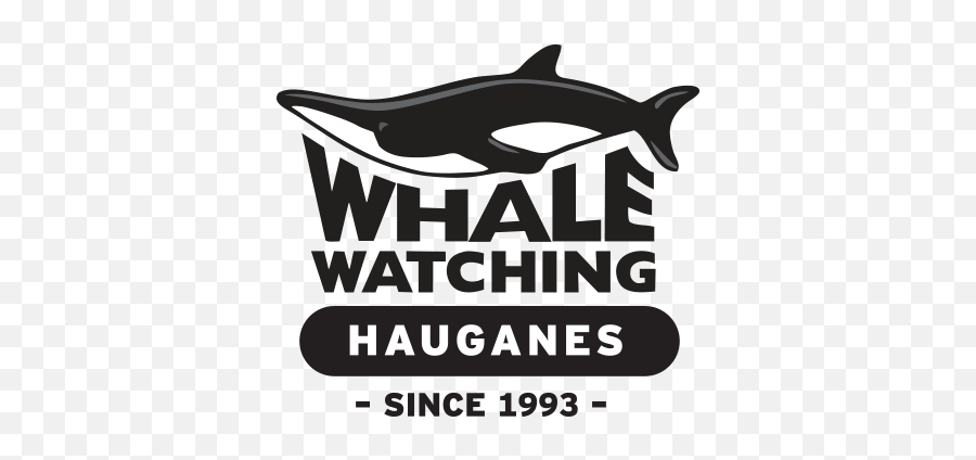 Whale Watching Hauganes Iceland Tours - Squaliform Sharks Emoji,Whale Logo