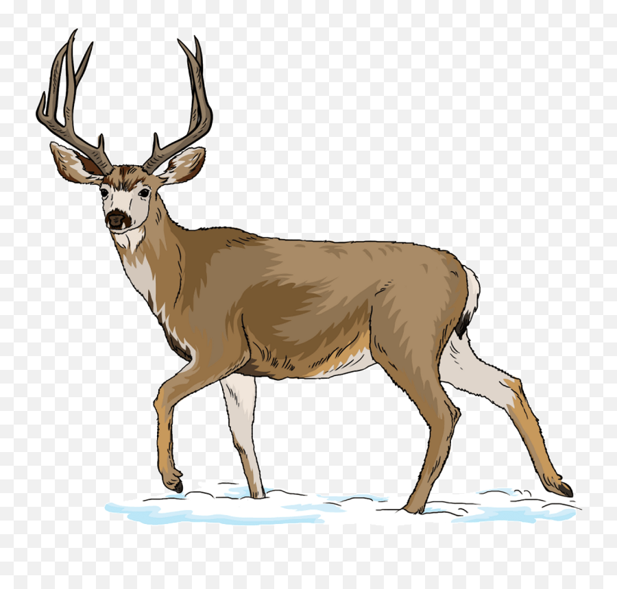 Deer Clipart - Caribou Emoji,Deer Clipart