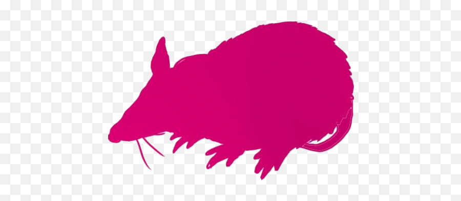 Transparent Rat Silhouette Png Transparent Mouse Logo - Pest Emoji,Rat Transparent