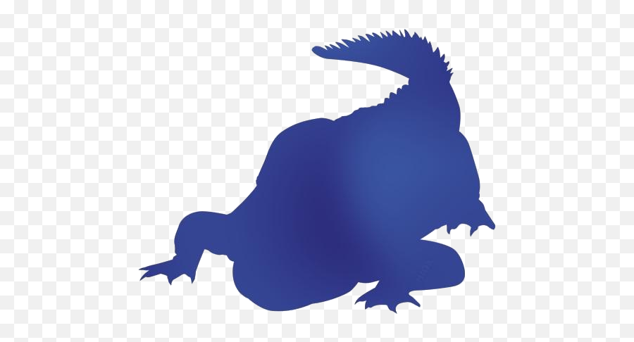 Crocodile Png Clipart Alligator Png - Amphibians Emoji,Alligator Clipart