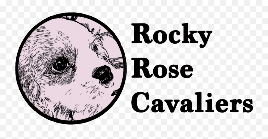 Welcome U2013 Rocky Rose Cavaliers Emoji,Cavaliers New Logo