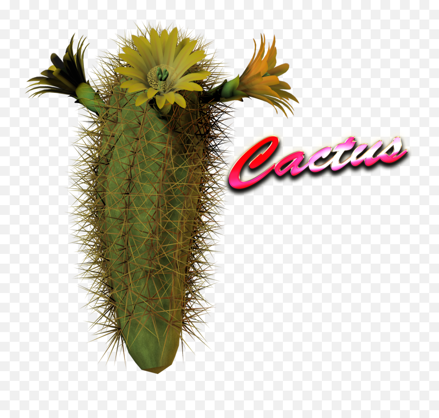 Download Hd Cactus Png Hd Image - Cacrtus Png Transparent Spiked Emoji,Cactus Png