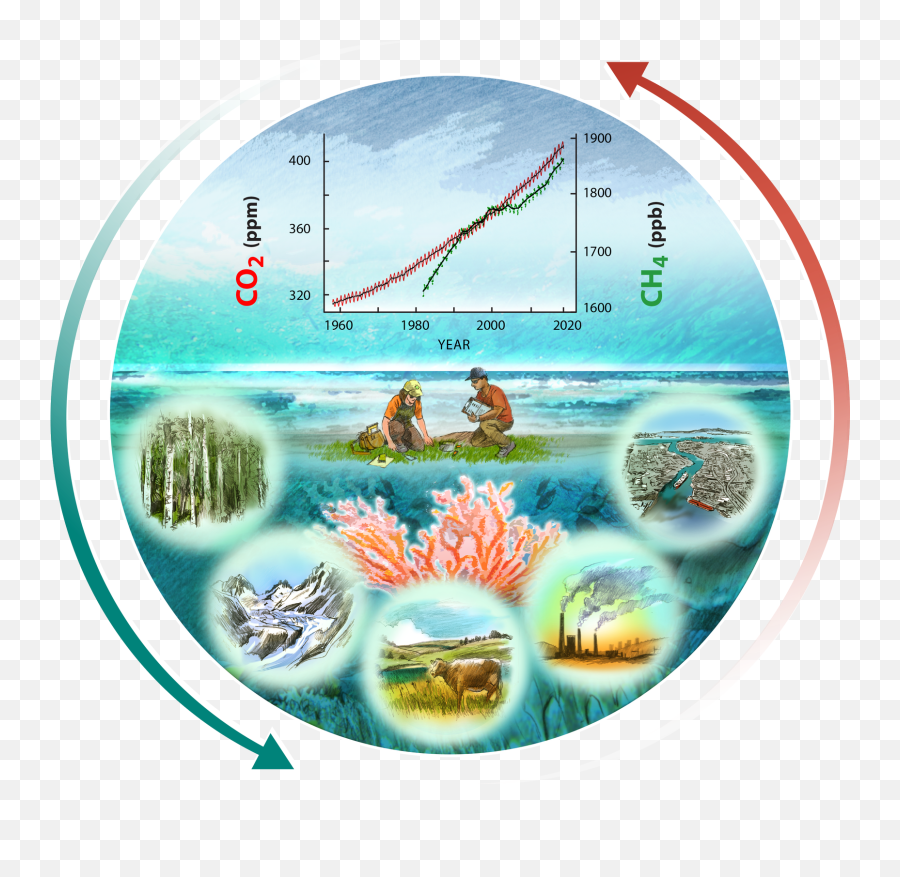 Second State Of The Carbon Cycle Report Emoji,Ocean Transparent Background