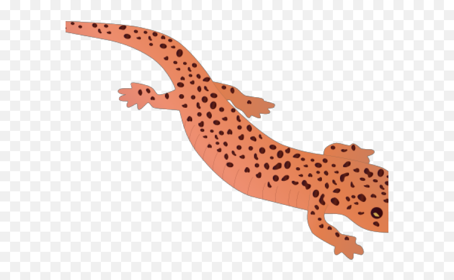 Salamander Clipart Clip Art - Red Salamander Full Size Png Clip Art Salamander Emoji,Red Clipart