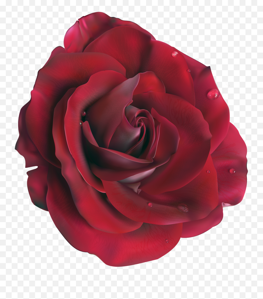Rose Png Hd Images Free Rose Clipart - Large Rose Emoji,Roses Transparent