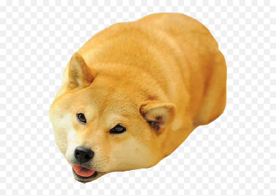 Doge Png Images Transparent Background - Doge Dog Emoji,Doge Transparent Background