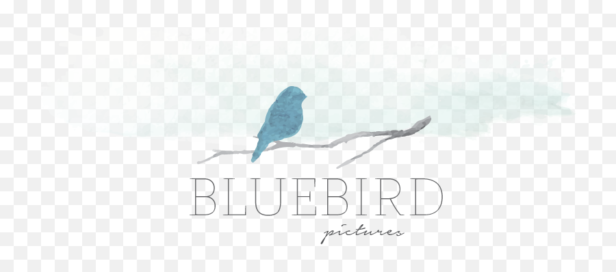 Bluebird Pictures Bree Fowles Utah - Language Emoji,Blue Bird Logo