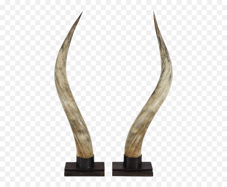 Devil Hornspng - Excellent Steer Horns On Stands A Pair Horn Emoji,Devil Horn Png