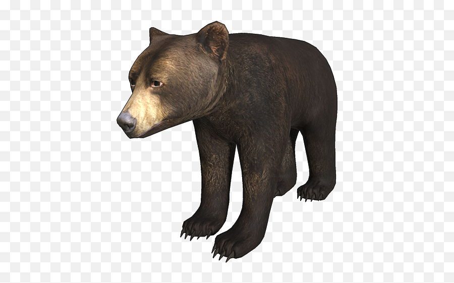 Grizzly Bear Emoji,Grizzly Bear Logo