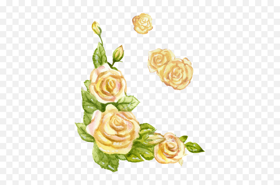 Free Photos Watercolor Rose Search Download - Needpixcom Emoji,Watercolor Roses Png