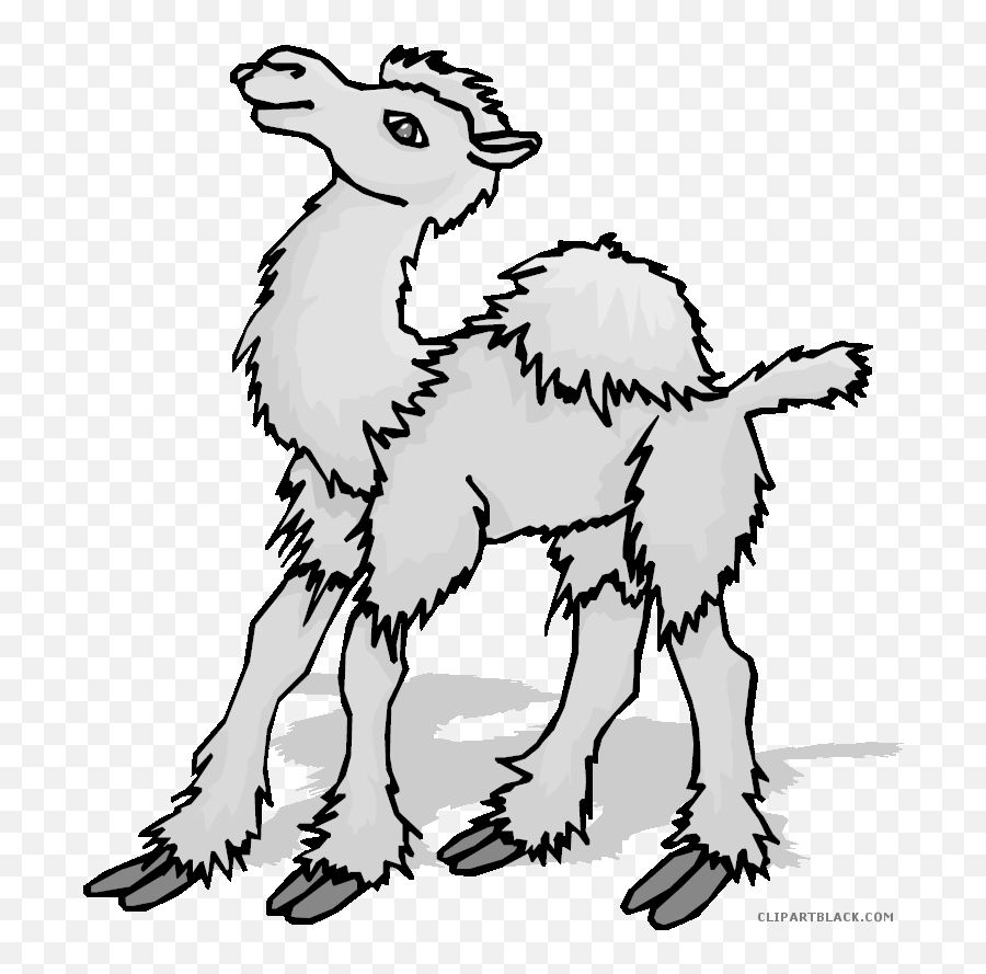 Camel Animal Free Black White Clipart Images Clipartblack - Moving Camel Gif Cartoon Emoji,Camel Clipart