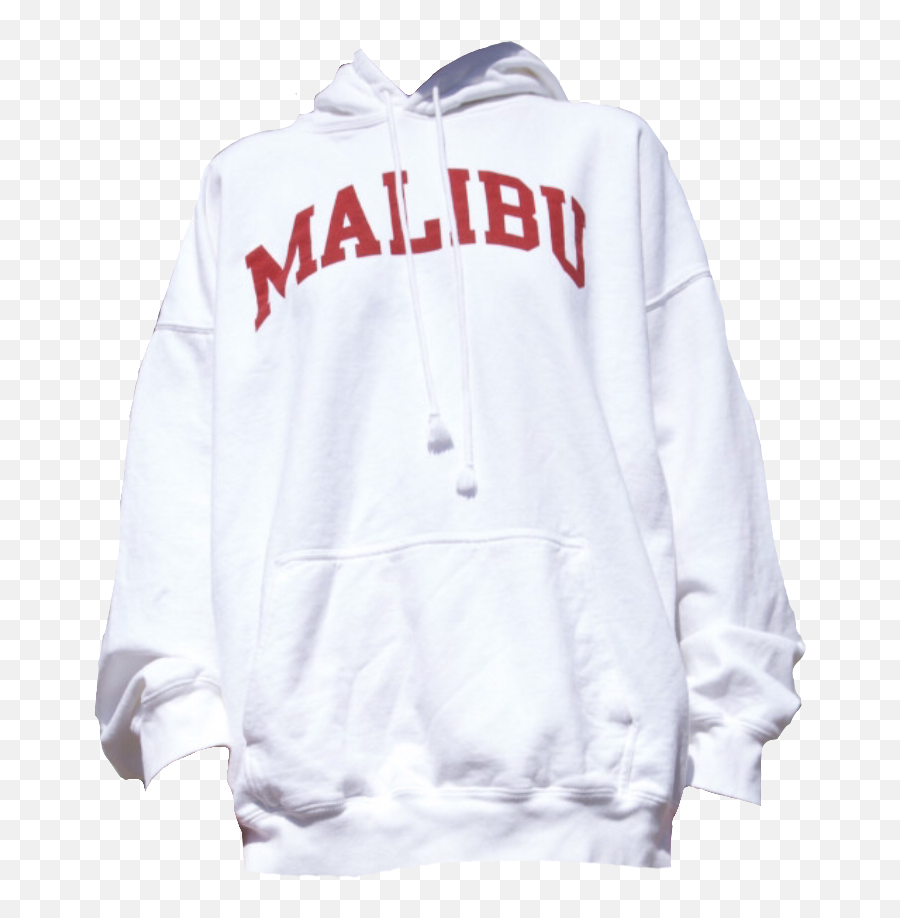 Aesthetic Hoodie Sweatshirts - Brandy Melville Hoodie Png Emoji,Hoodie Png